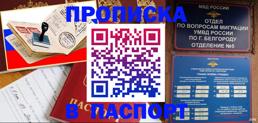 купить прописку в Истре